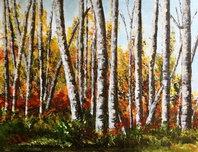 Birches in the Sun