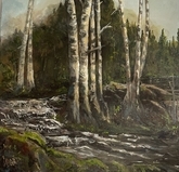 Clusters of Birches