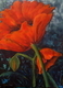 Poppies II