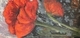 Poppies III