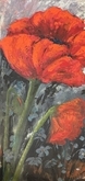 Poppies