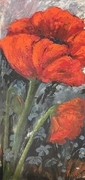 Poppies