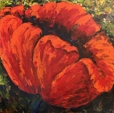 Poppy II